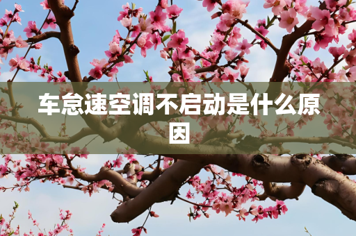 第620页