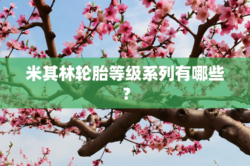 米其林轮胎等级系列有哪些？