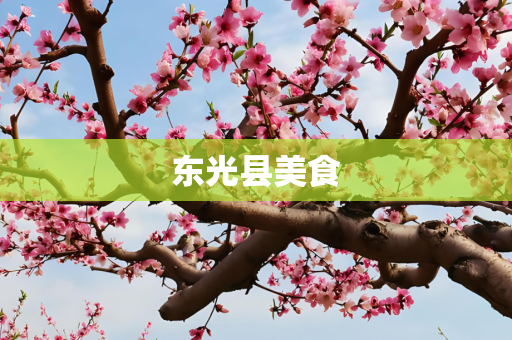 东光县美食