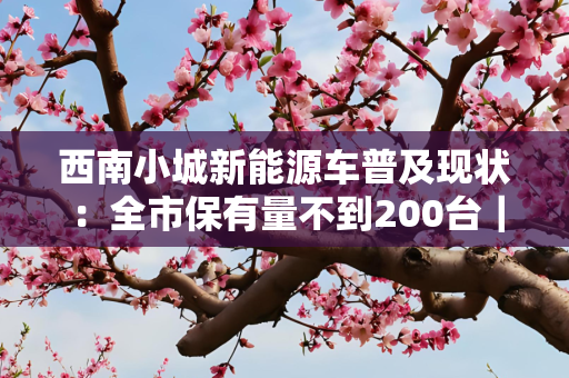 西南小城新能源车普及现状：全市保有量不到200台｜春节回乡观察
