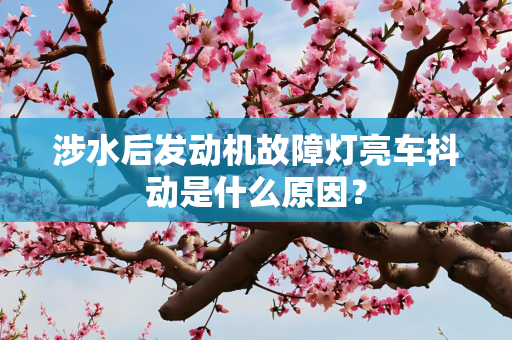 涉水后发动机故障灯亮车抖动是什么原因？