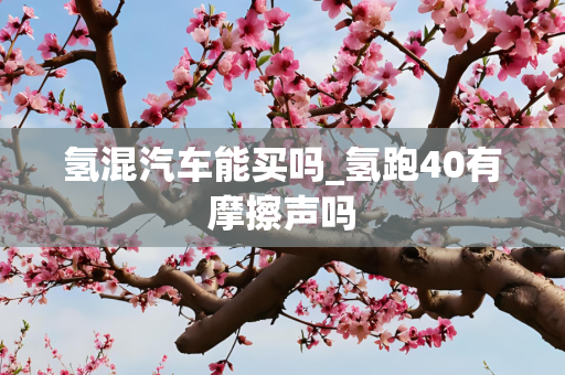 第619页