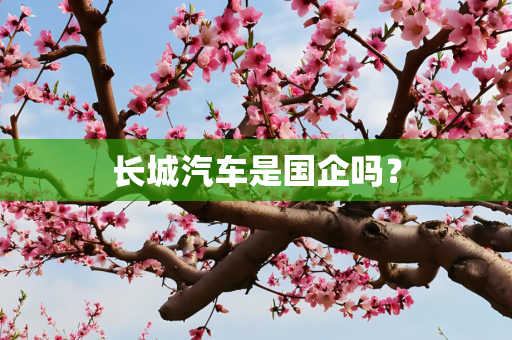 长城汽车是国企吗？