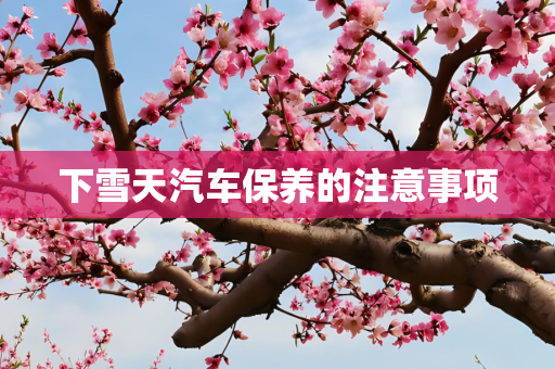 下雪天汽车保养的注意事项