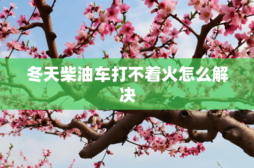 冬天柴油车打不着火怎么解决