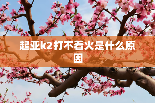 起亚k2打不着火是什么原因