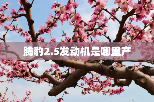 腾豹2.5发动机是哪里产