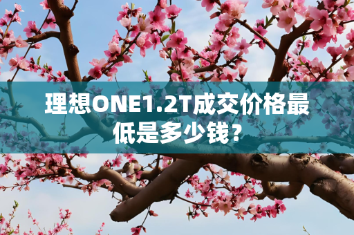 理想ONE1.2T成交价格最低是多少钱？