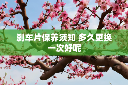 刹车片保养须知 多久更换一次好呢
