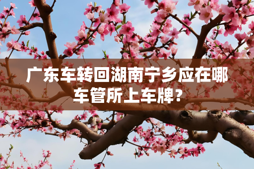 广东车转回湖南宁乡应在哪车管所上车牌？