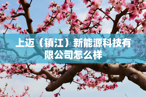 上迈（镇江）新能源科技有限公司怎么样