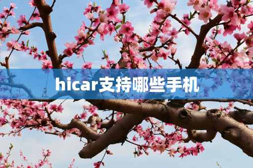 hicar支持哪些手机