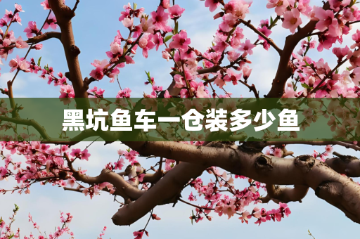 第614页