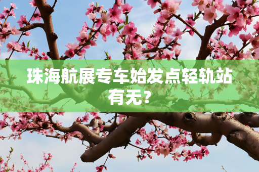 珠海航展专车始发点轻轨站有无？