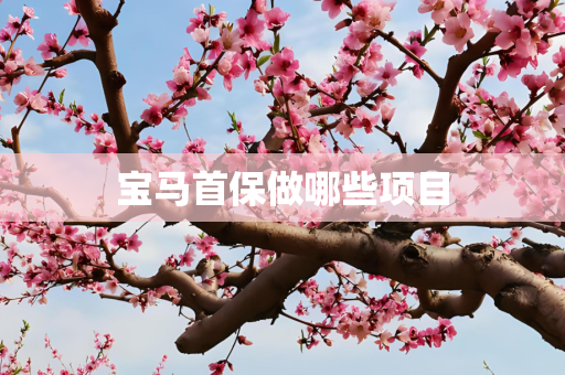 宝马首保做哪些项目