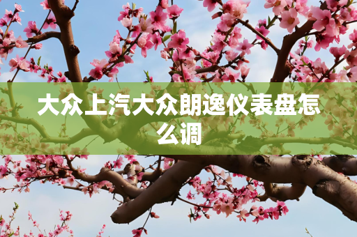 大众上汽大众朗逸仪表盘怎么调