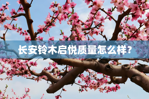 长安铃木启悦质量怎么样？