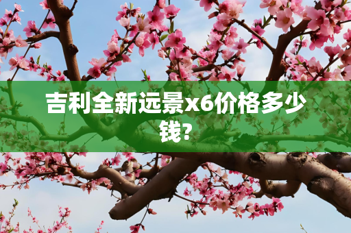 吉利全新远景x6价格多少钱?