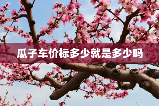 瓜子车价标多少就是多少吗