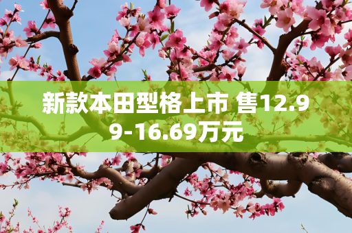 新款本田型格上市 售12.99-16.69万元