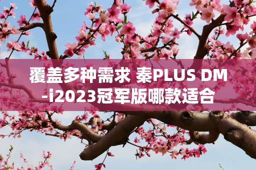 覆盖多种需求 秦PLUS DM-i2023冠军版哪款适合