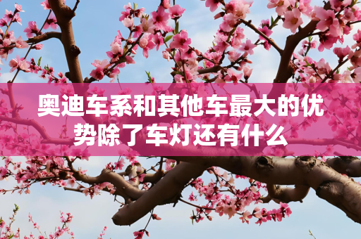 奥迪车系和其他车最大的优势除了车灯还有什么