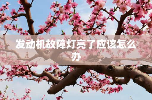 发动机故障灯亮了应该怎么办