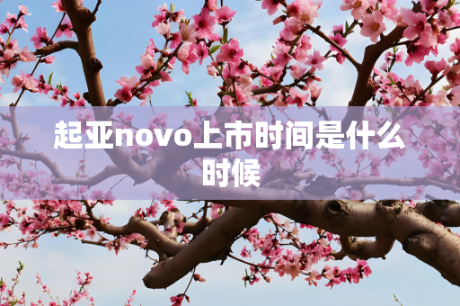 起亚novo上市时间是什么时候