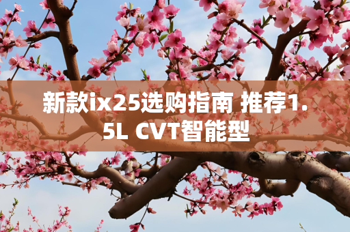 新款ix25选购指南 推荐1.5L CVT智能型