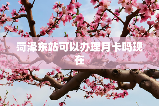 菏泽东站可以办理月卡吗现在