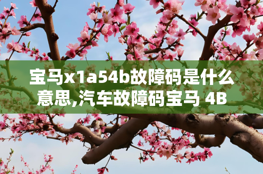 宝马x1a54b故障码是什么意思,汽车故障码宝马 4B