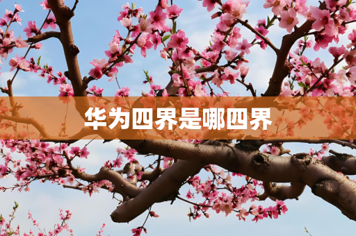华为四界是哪四界