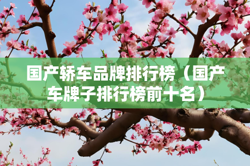 国产轿车品牌排行榜（国产车牌子排行榜前十名）
