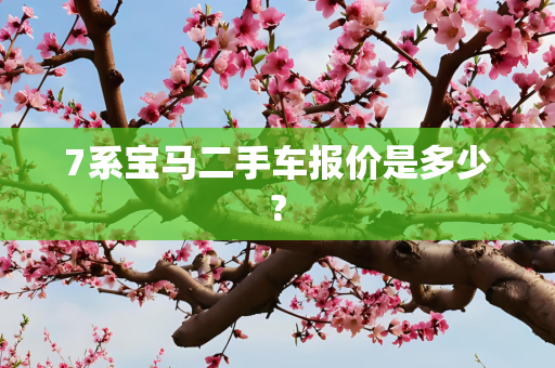 7系宝马二手车报价是多少?