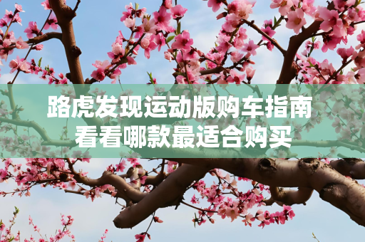 路虎发现运动版购车指南 看看哪款最适合购买