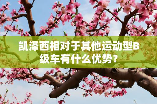 第593页