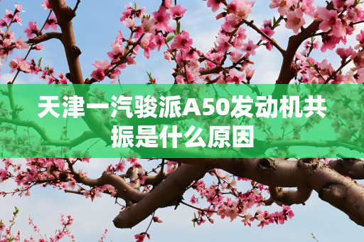 天津一汽骏派A50发动机共振是什么原因