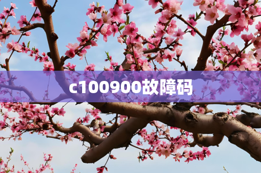 c100900故障码