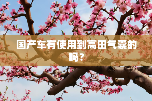 国产车有使用到高田气囊的吗？