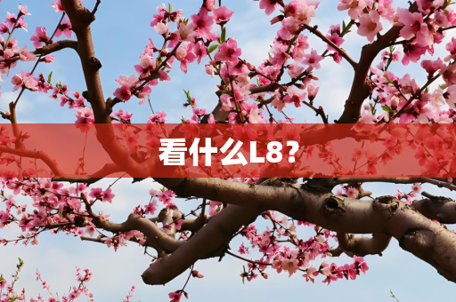 看什么L8？