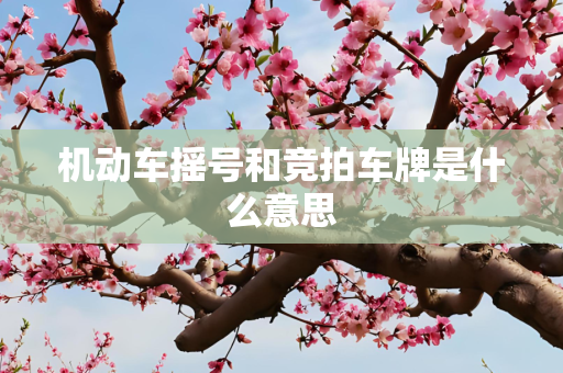 第594页