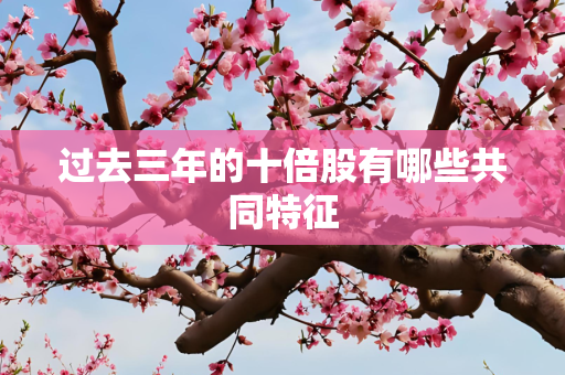 过去三年的十倍股有哪些共同特征