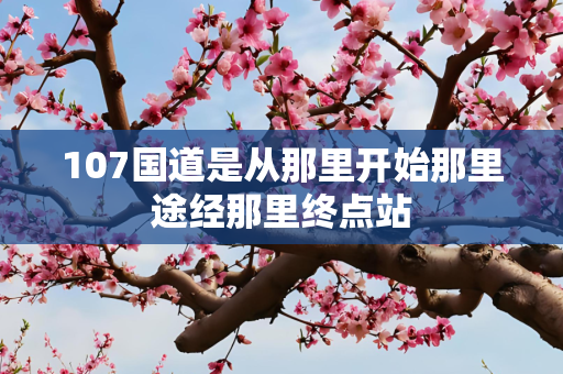 107国道是从那里开始那里途经那里终点站