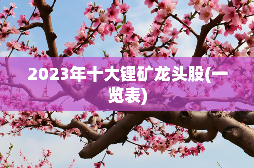 2023年十大锂矿龙头股(一览表)