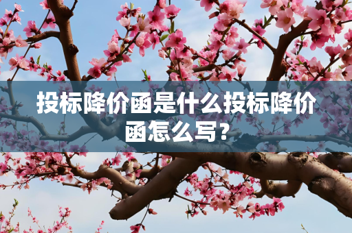 投标降价函是什么投标降价函怎么写？