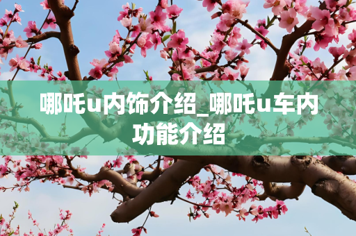 第592页