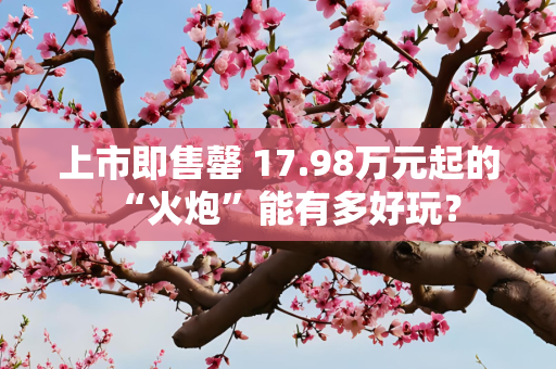 上市即售罄 17.98万元起的“火炮”能有多好玩？