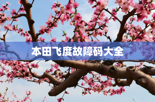 本田飞度故障码大全
