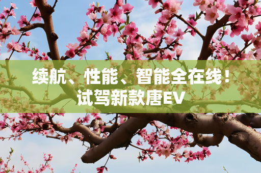 续航、性能、智能全在线！试驾新款唐EV