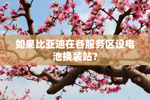 如果比亚迪在各服务区设电池换装站？